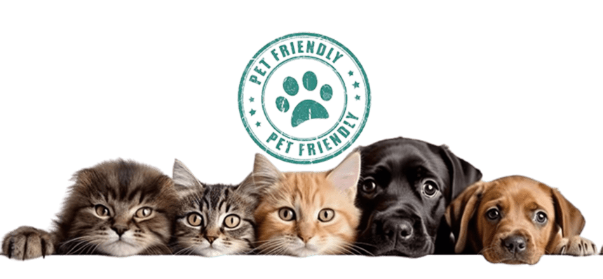 hoteles-pet-friendly-en-villa-de-leyva