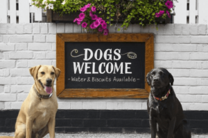 hoteles-que-aceptan-mascotas-en-villa-de-leyva