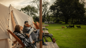 glamping-pet-friendly-en-villa-de-leyva