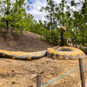 gondava-el-gran-valle-de-los-dinosaurios