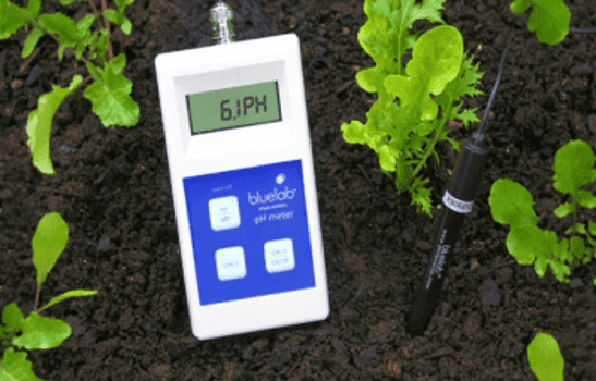 pilotes-de-madera-para-casa