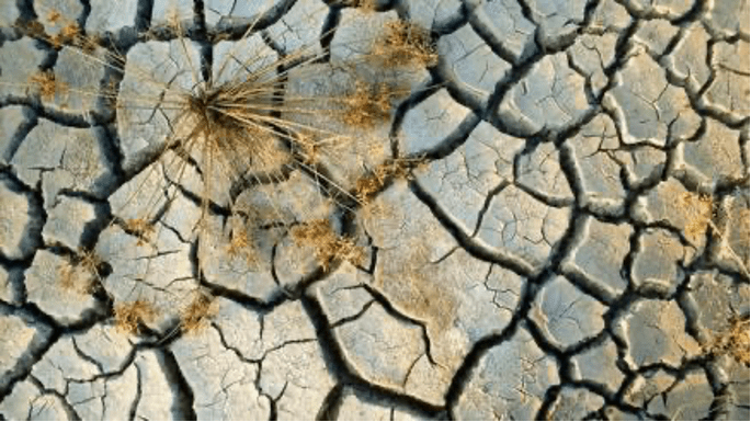 tipos-de-suelos-en-bogota