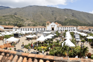 festival-del-arbol-villa-de-leyva