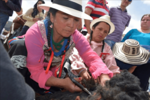 festival-folclorico-y-de-hilanderas-villa-de-leyva