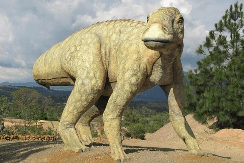 villa-de-leyva-dinosaurios