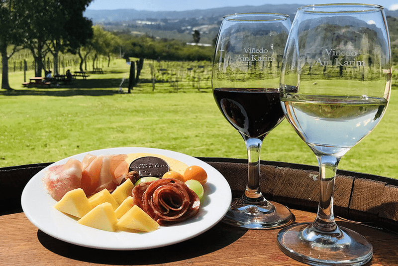 viñedo-ain-karim-villa-de-leyva