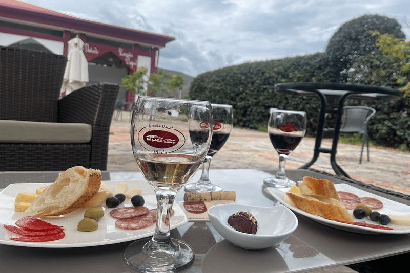 viñedo-umaña-dajud