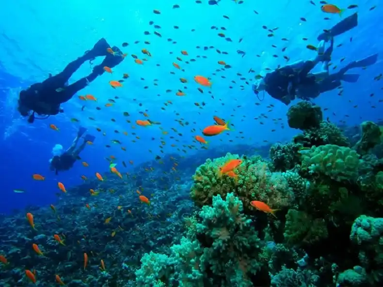 isla-gorgona-santa-marta-magdalena-colombia
