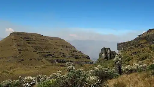 oceta-paramo