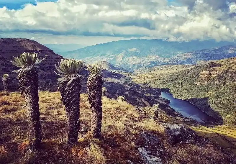 paramo-de-oceta