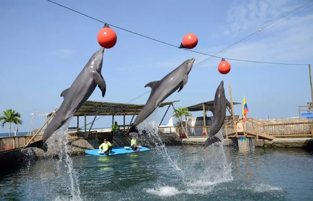 things-to-do-in-santa-marta-colombia