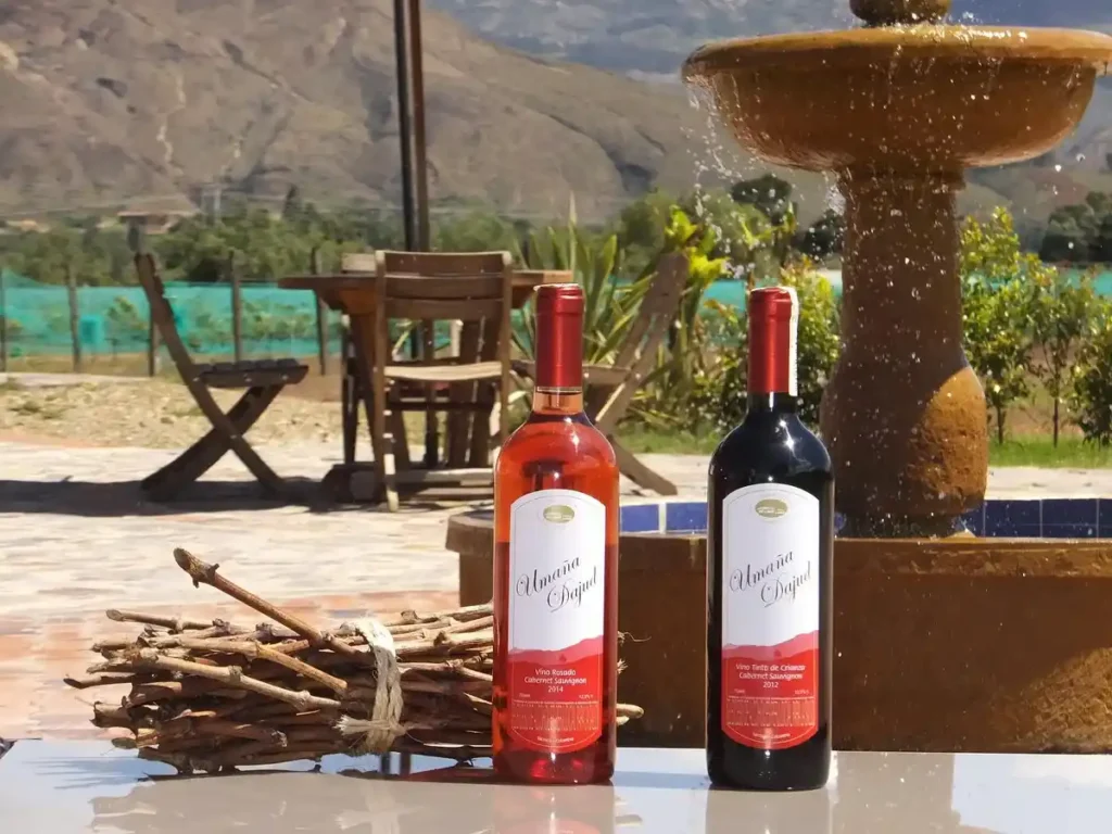 viñedo-umaña-dajud