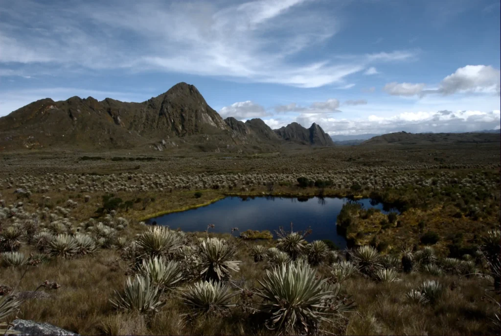 paramos de Colombia